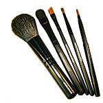 Handbag Brush Set
